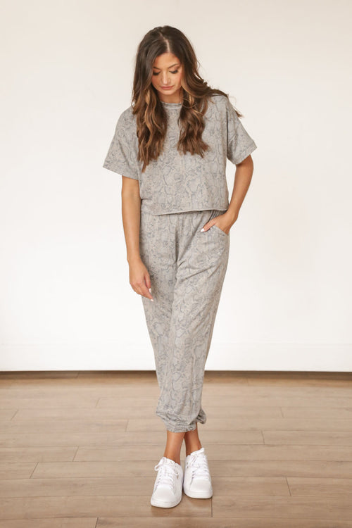 Blue Gray Snake Set - Top